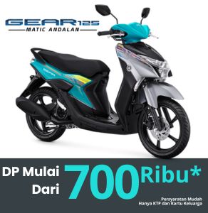 GEAR STD